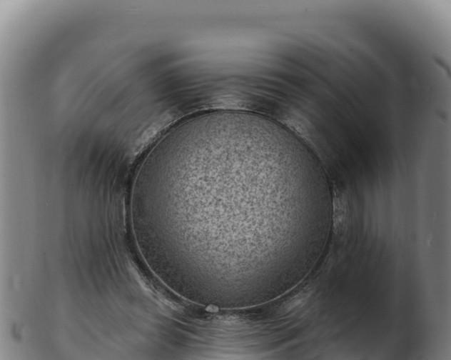 X0000103240349200809041052