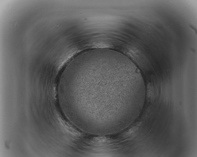 X0000103240351200809041052