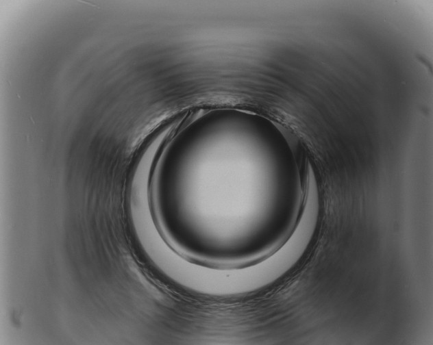 X0000103240352200809041052