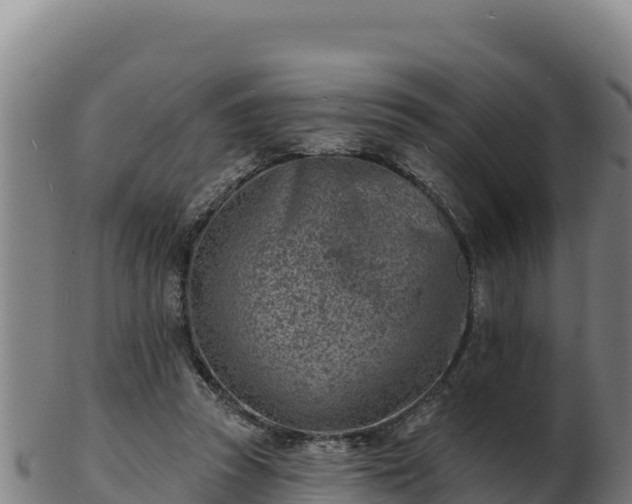 X0000103240353200809041052