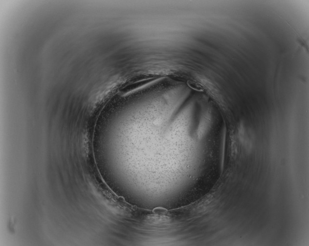 X0000103240354200809041052