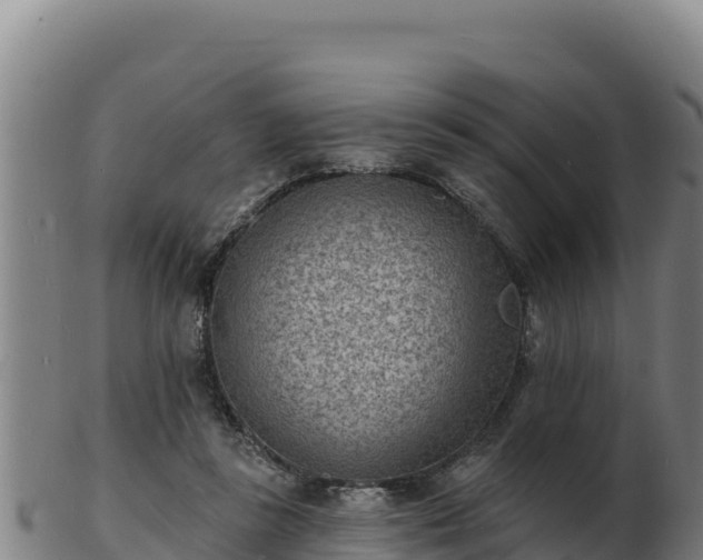 X0000103240355200809041052