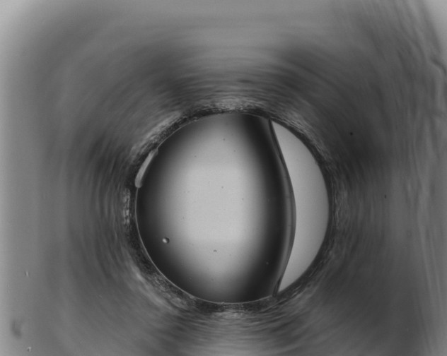 X0000103240356200809041052