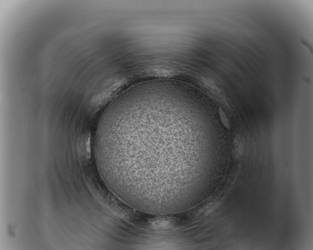 X0000103240358200809041052