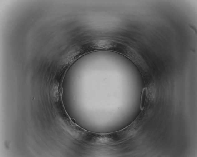 X0000103240360200809041052