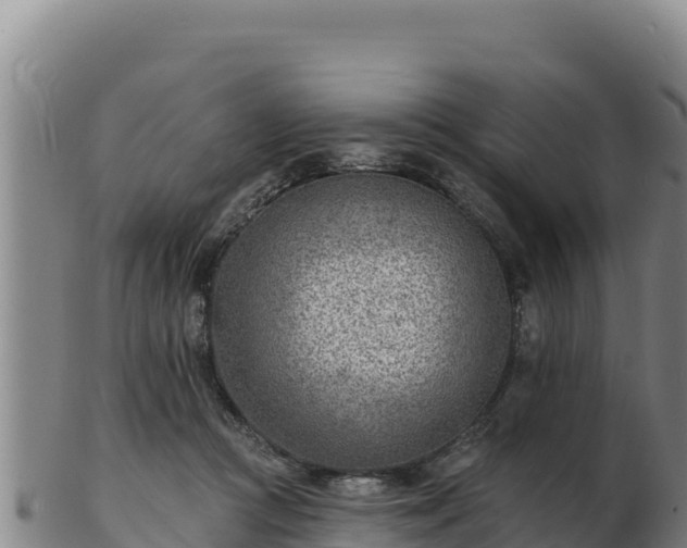 X0000103240361200809041052