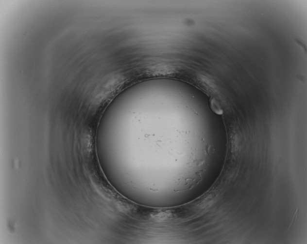 X0000103240362200809041052