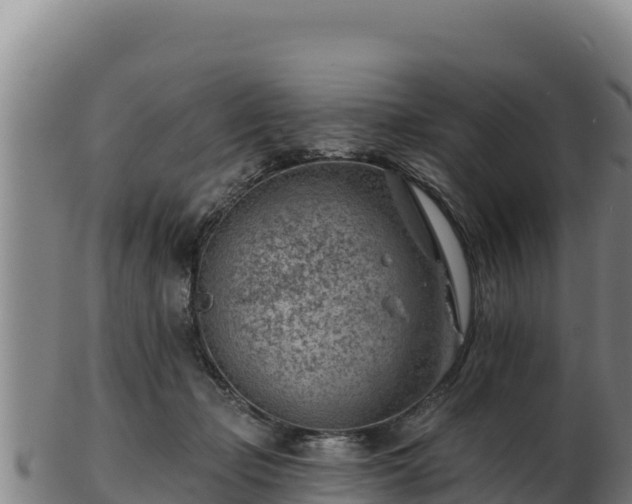 X0000103240365200809041052