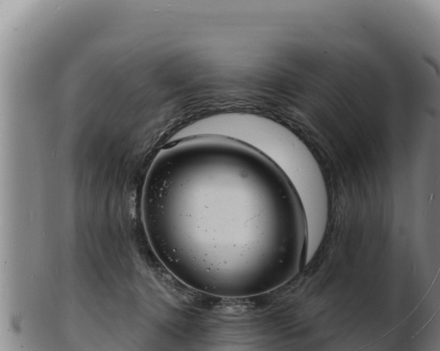 X0000103240368200809041052