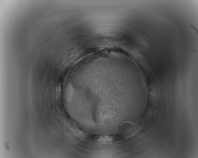 X0000103240369200809041052