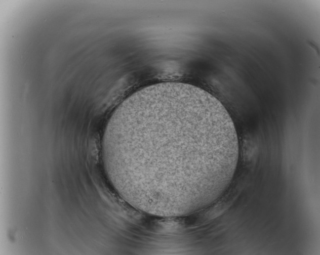 X0000103240370200809041052