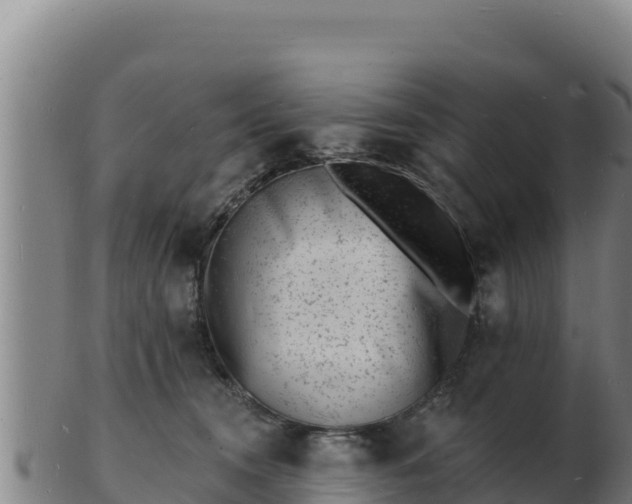 X0000103240372200809041052