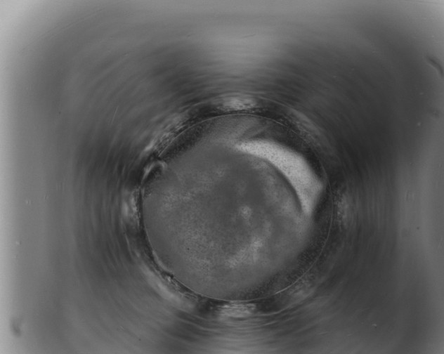 X0000103240373200809041052