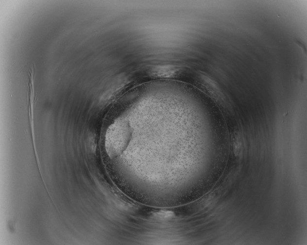 X0000103240374200809041052