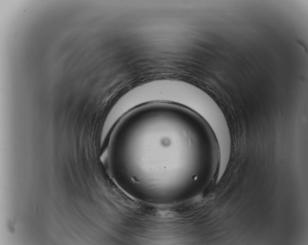 X0000103240376200809041052