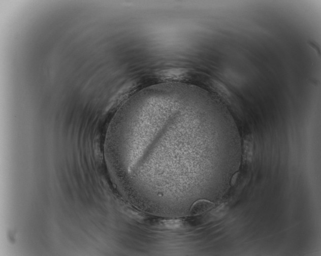 X0000103240377200809041052