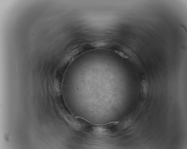 X0000103240380200809041052