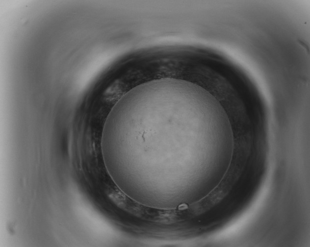 X0000103240382200809041052