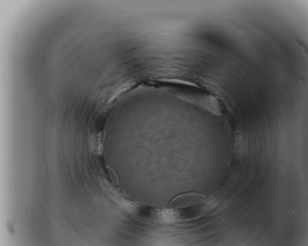 X0000103240383200809041052