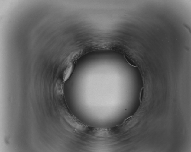 X0000103240384200809041052