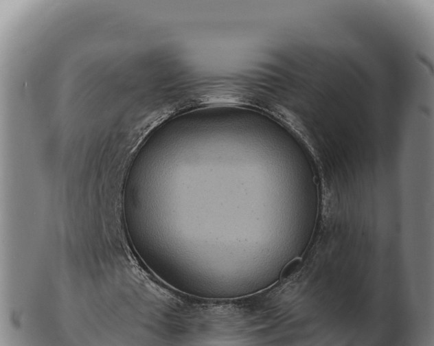 X0000103240385200809041052