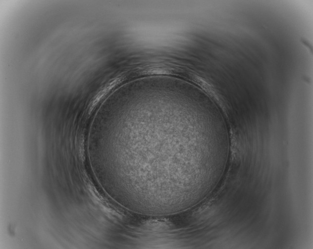 X0000103240386200809041052