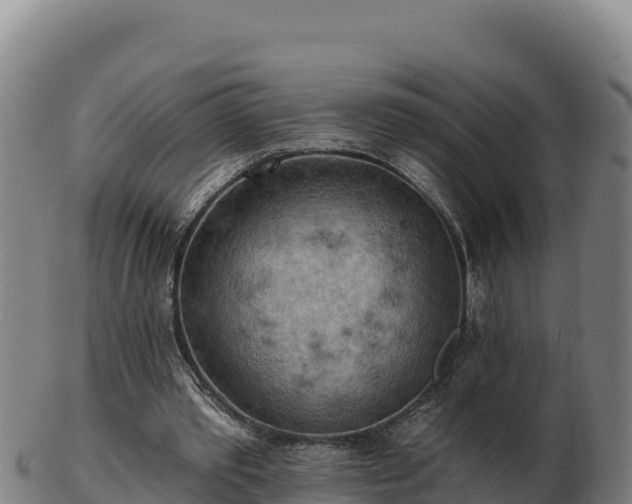 X0000103240389200809041051