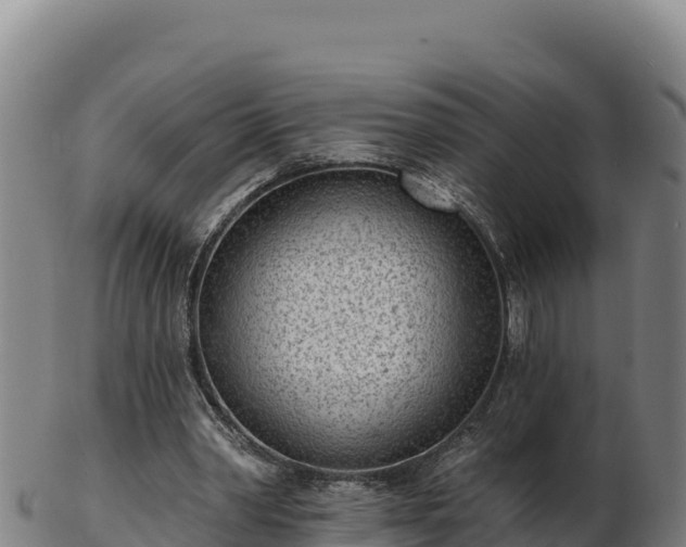 X0000103240390200809041051