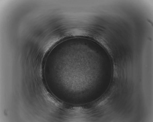 X0000103240391200809041051