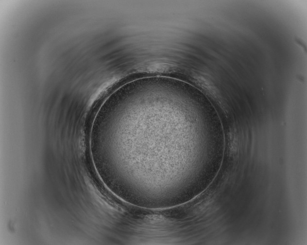 X0000103240392200809041051