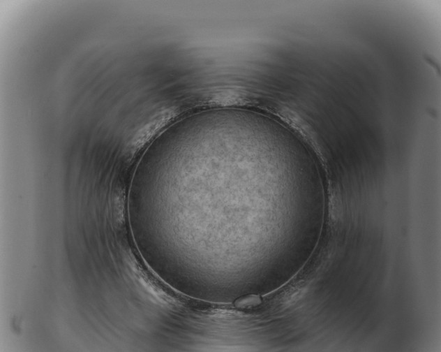 X0000103240393200809041051