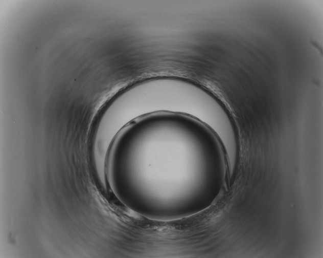 X0000103240395200809041051