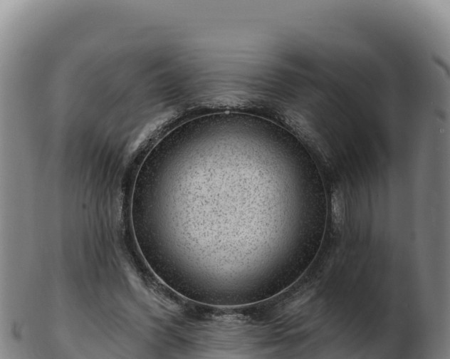 X0000103240396200809041051