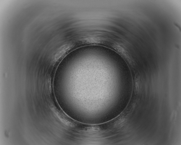 X0000103240398200809041051