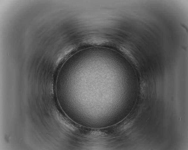 X0000103240399200809041051