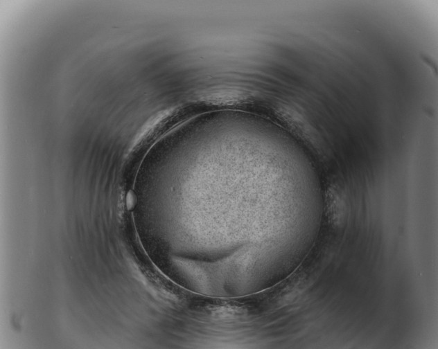 X0000103240400200809041051