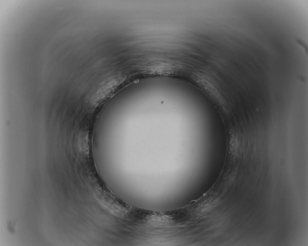 X0000103240403200809041051