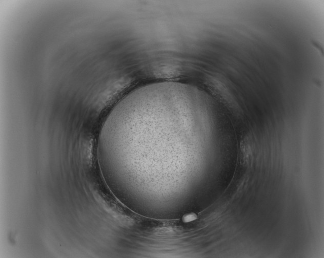 X0000103240404200809041051