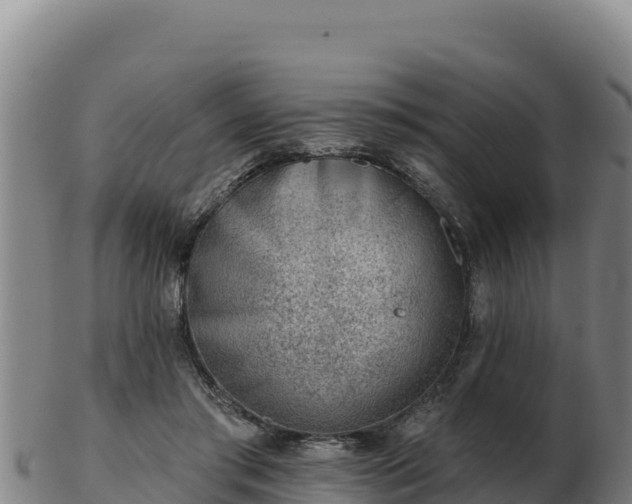 X0000103240405200809041051