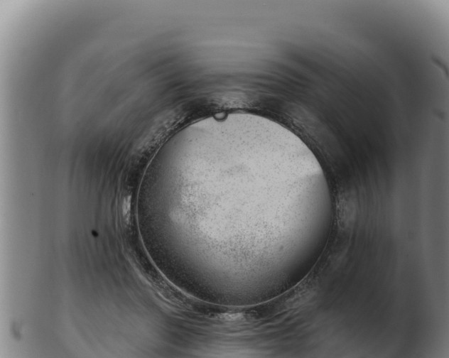 X0000103240406200809041051