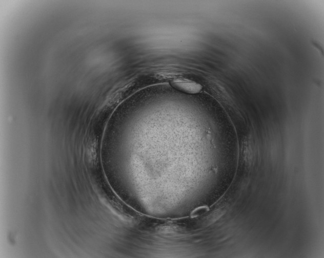 X0000103240408200809041051