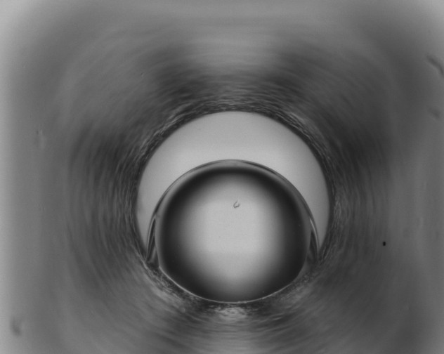 X0000103240409200809041051