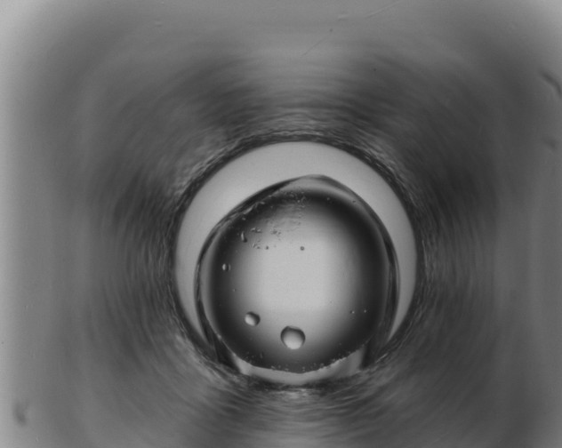 X0000103240411200809041051