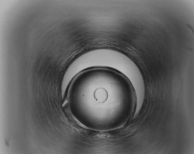 X0000103240415200809041051