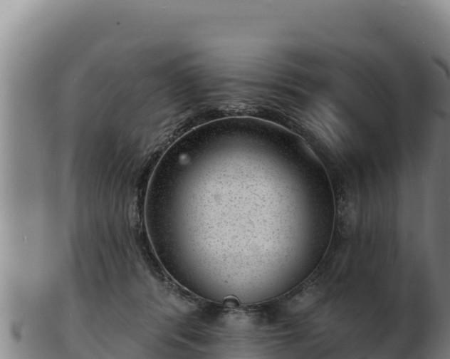 X0000103240416200809041051