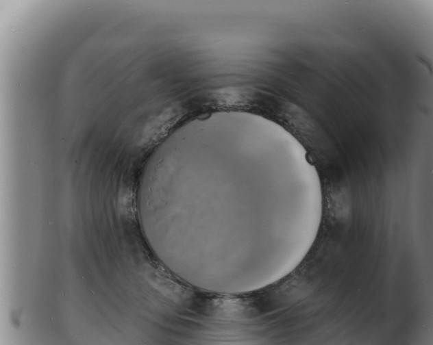 X0000103240419200809041051