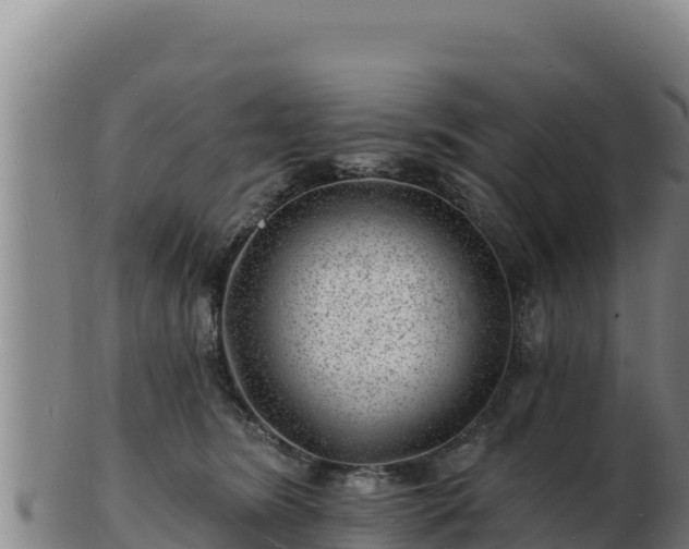 X0000103240420200809041051