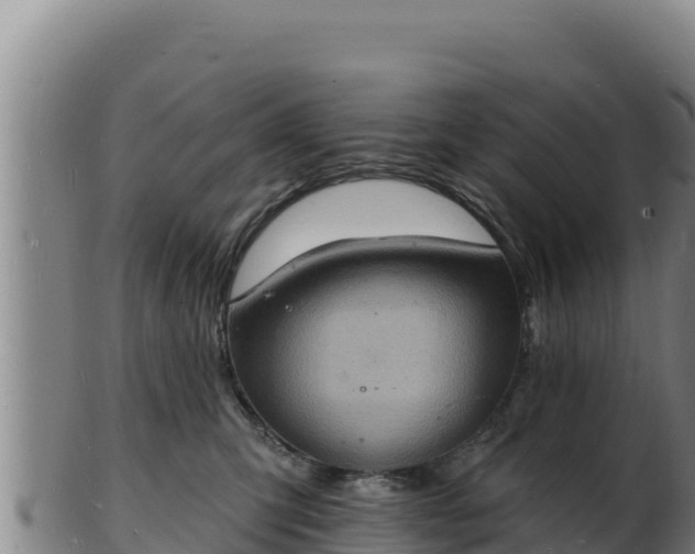 X0000103240423200809041051