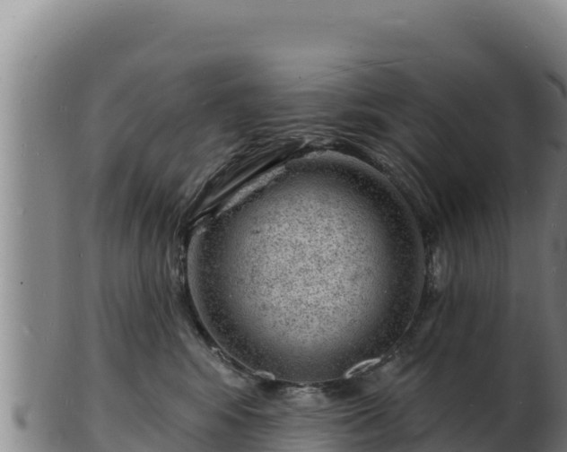 X0000103240424200809041051