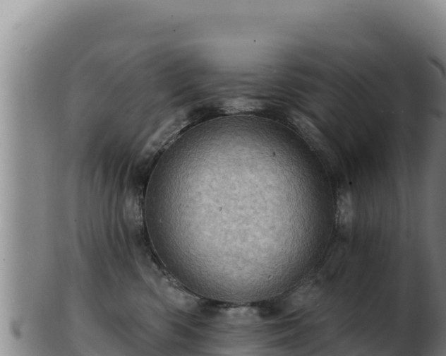 X0000103240426200809041051